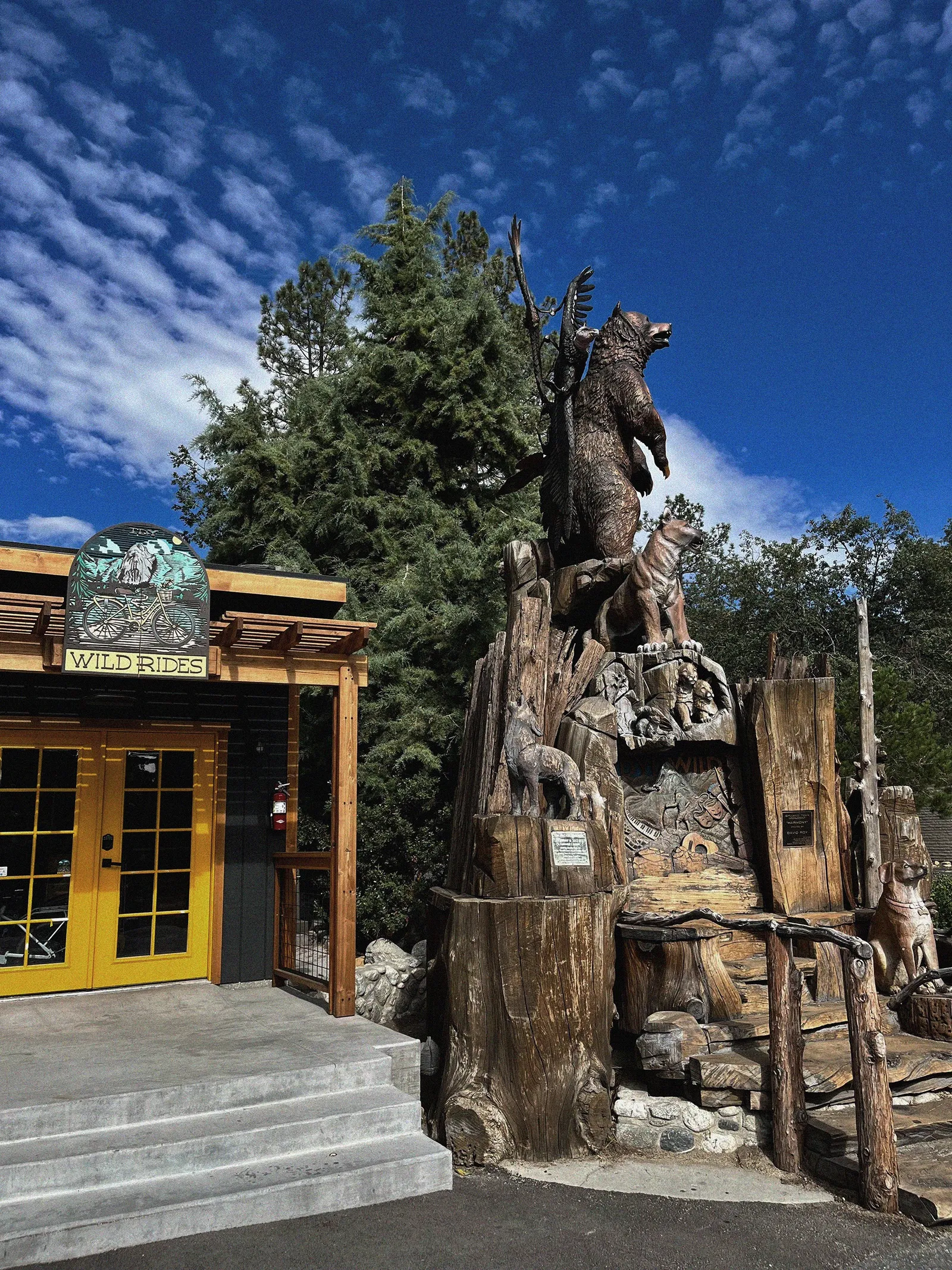 Hidden Gems: Off-the-Beaten-Path Adventures in Idyllwild