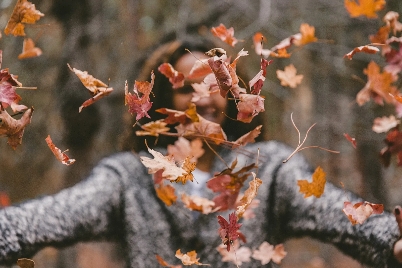 Idyllwild in November: the Whimsical Prelude to Winter Guide