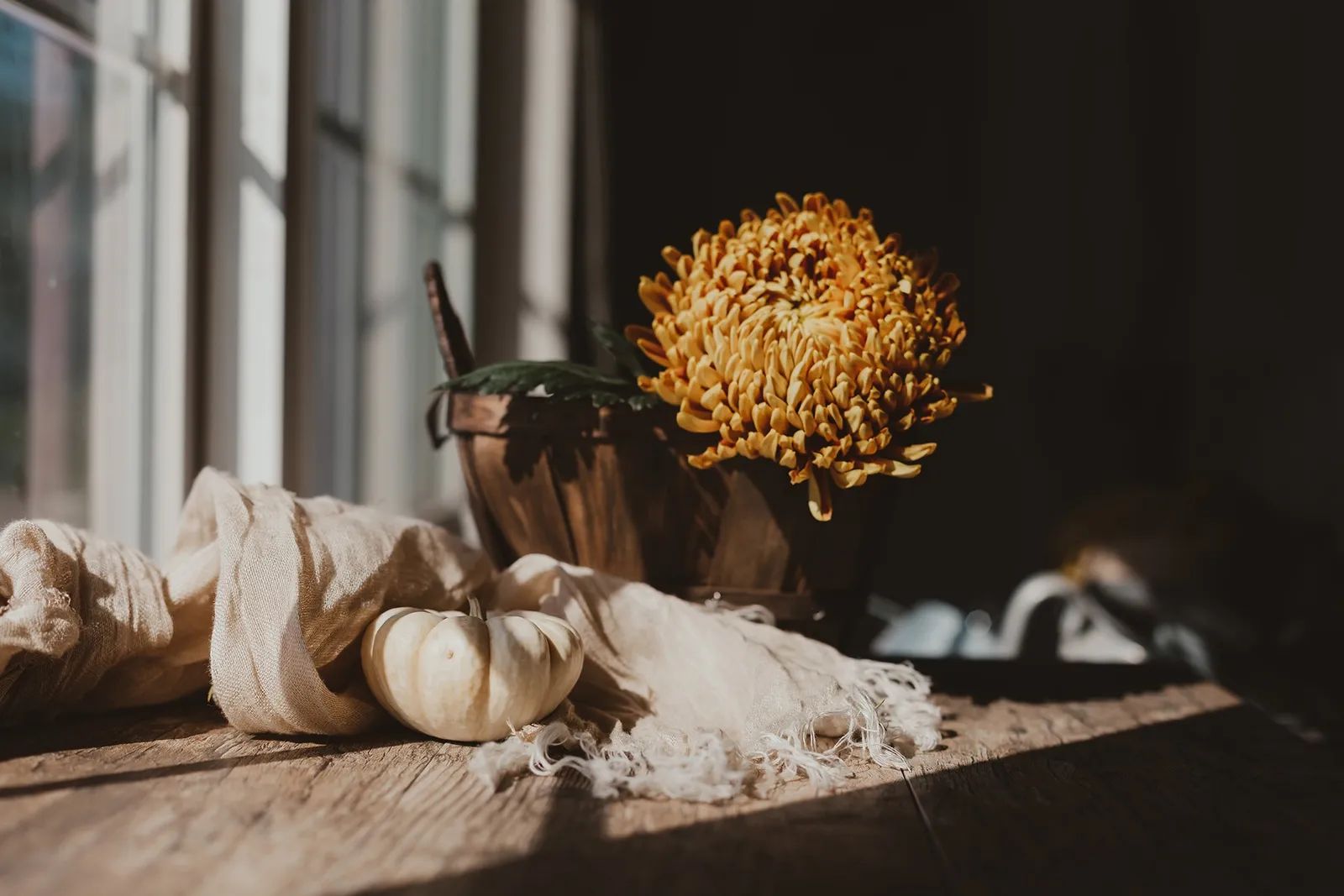 Idyllwild’s September Secrets: Adventures & Activities Await