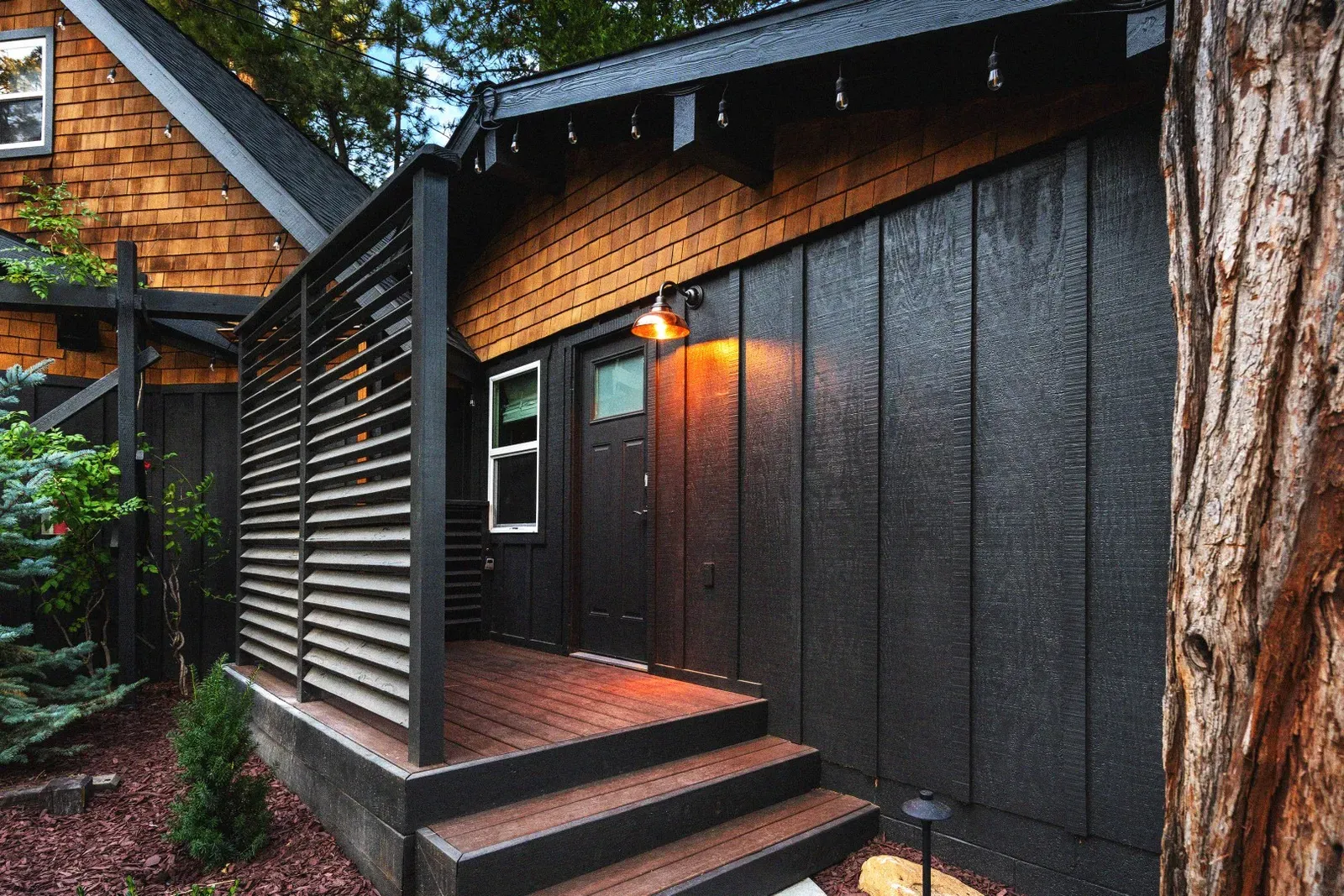 Your cabin is your private sanctuary among a village of 3 other Freewyld cabins. Each has a unique design and layout.