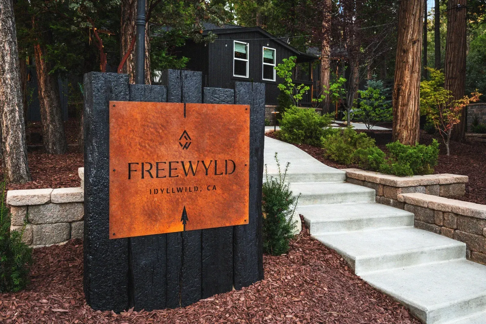 Follow Freewyld: @stayfreewyld.