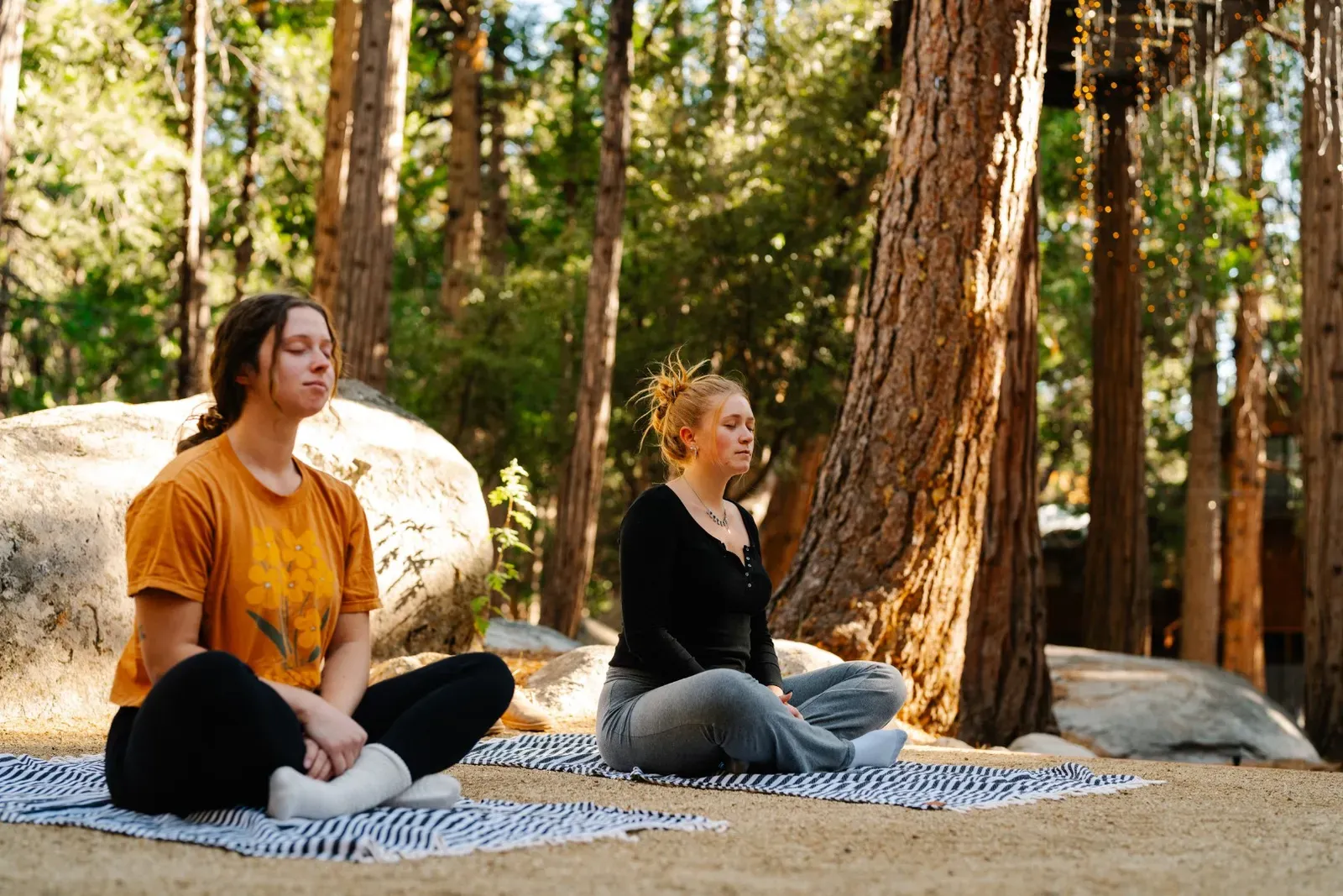Connect with nature, practice yoga or breathwork - and simply enjoy being under the pines of Idyllwild.