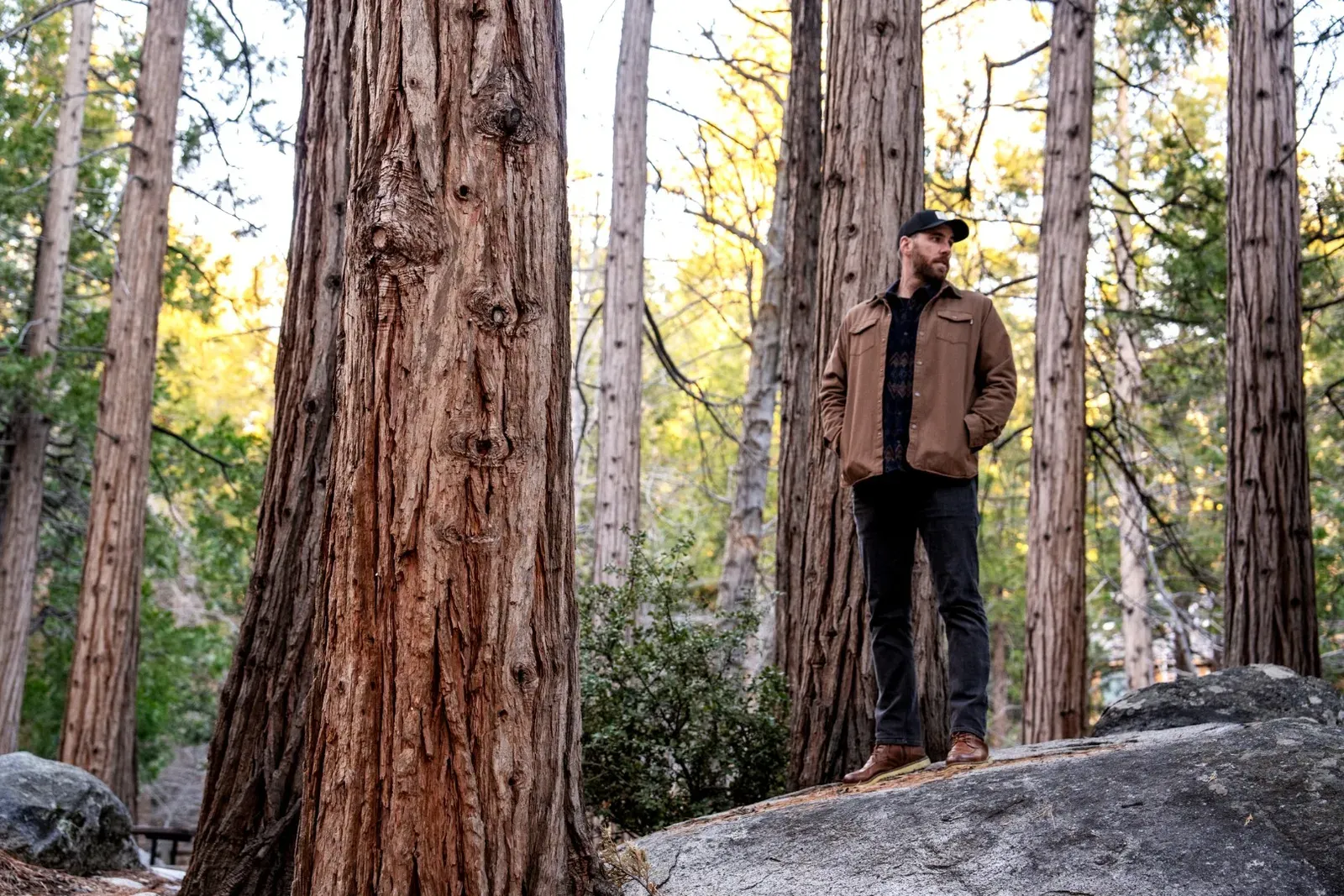 Hang out among the pine trees, birds, squirrels, and giant mountain rocks.