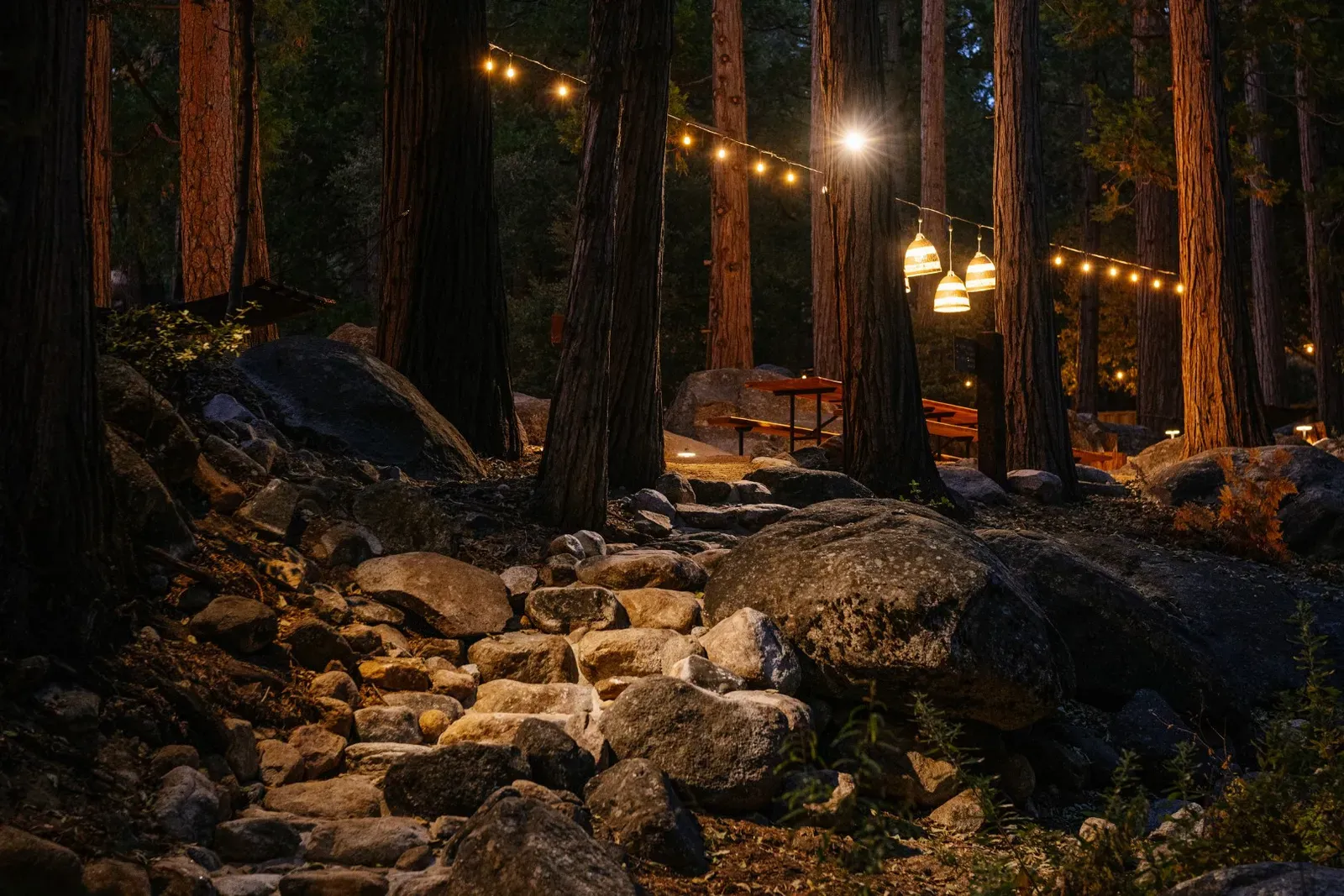 Lights in the Park create a magical atmosphere after the sun sets.