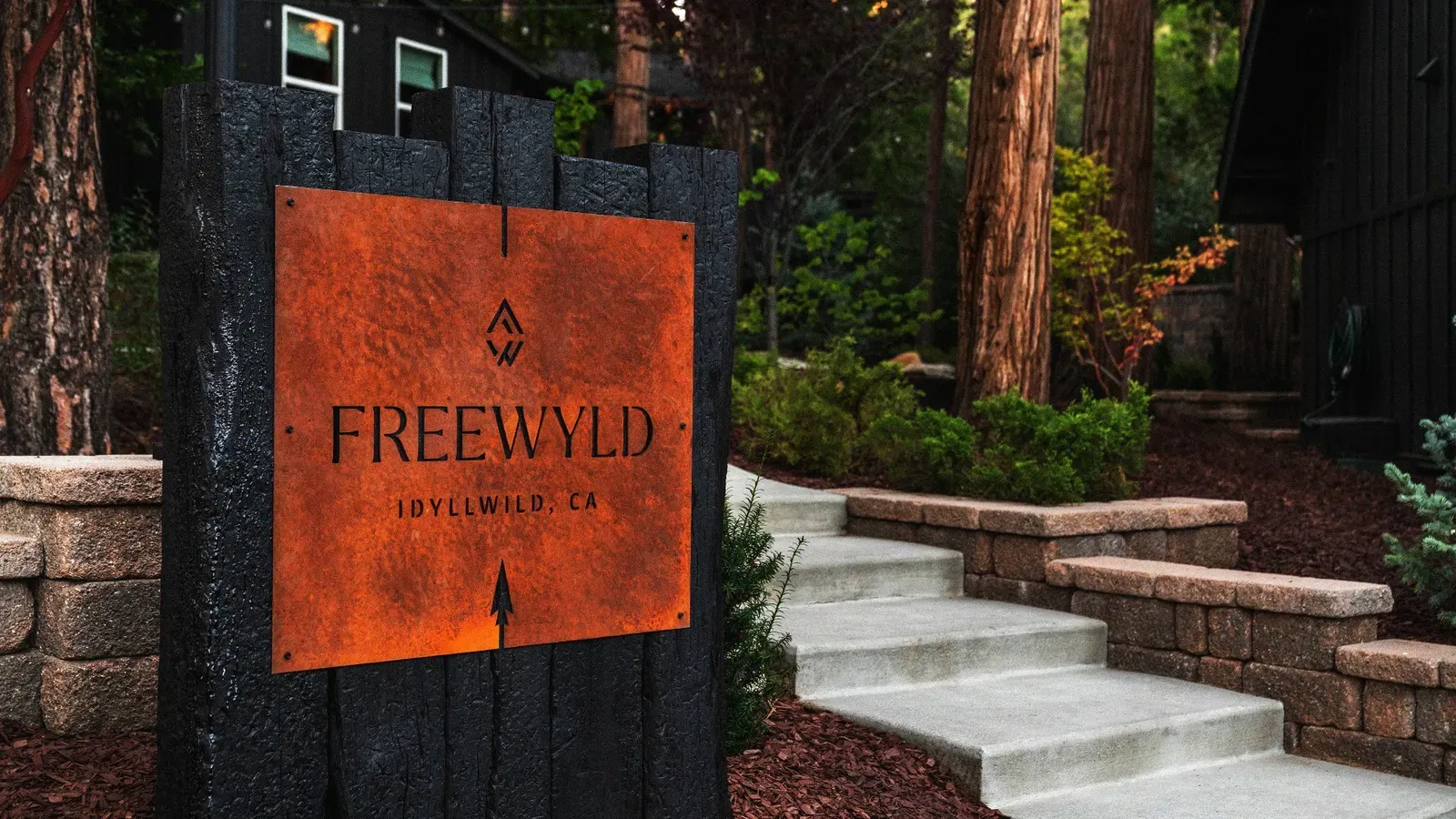 Follow Freewyld: @stayfreewyld
