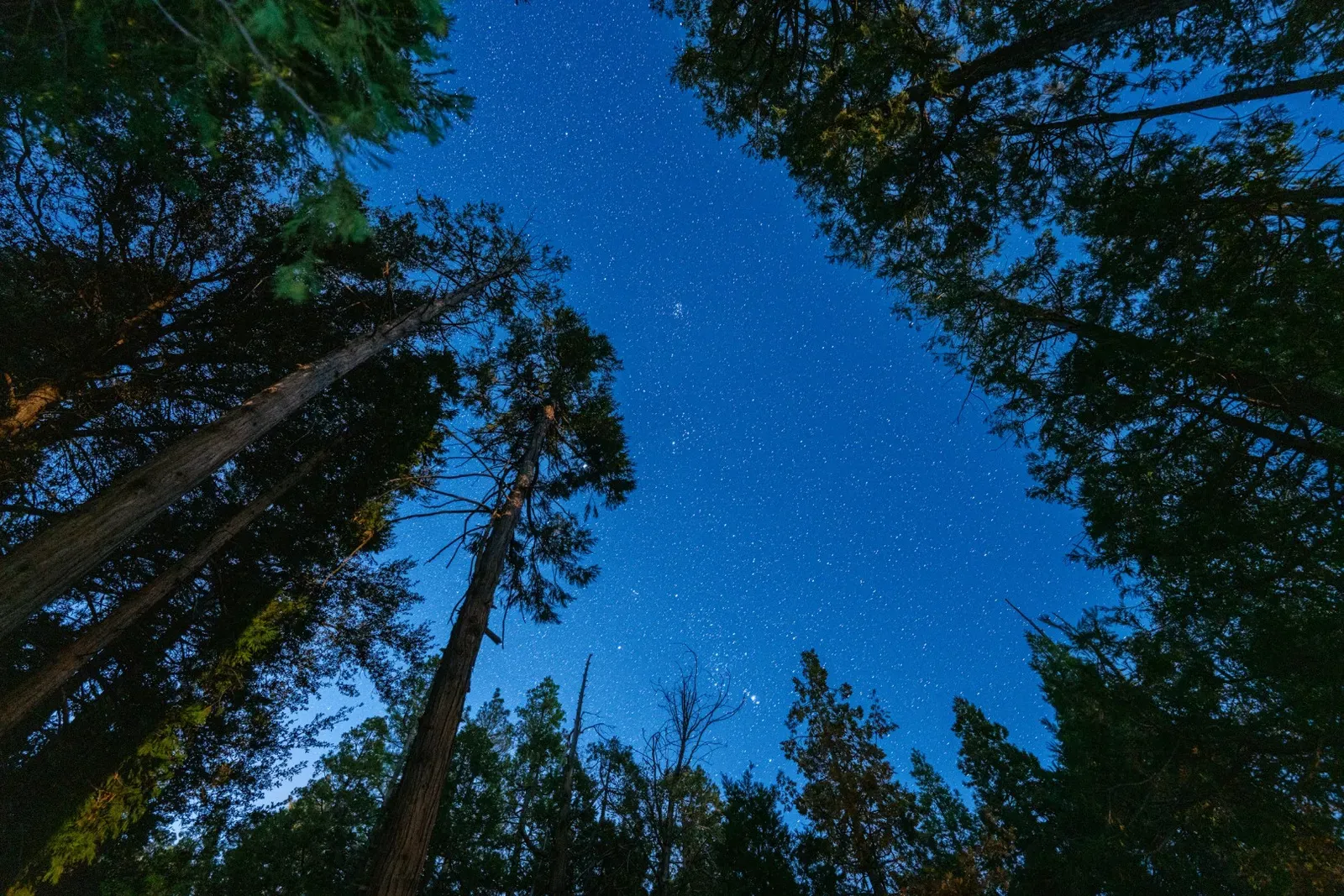Stargazing in Idyllwild is epic.