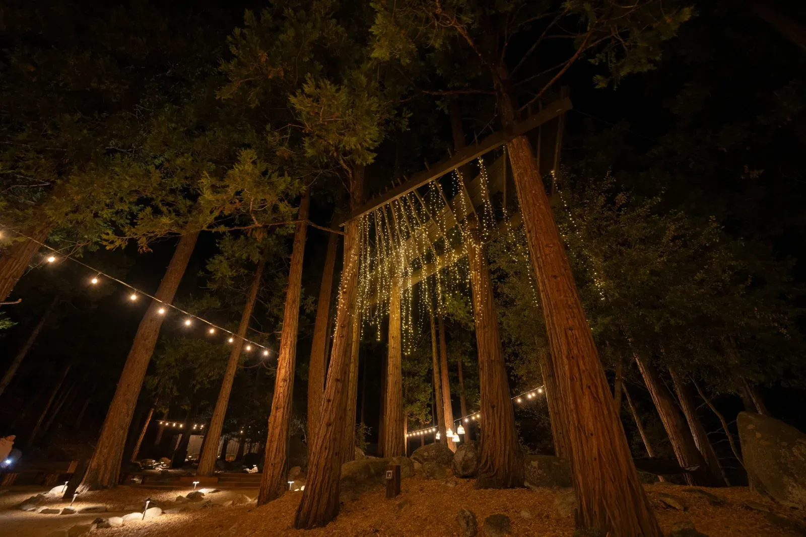 Enjoy the magic when the lights come on in the evening.