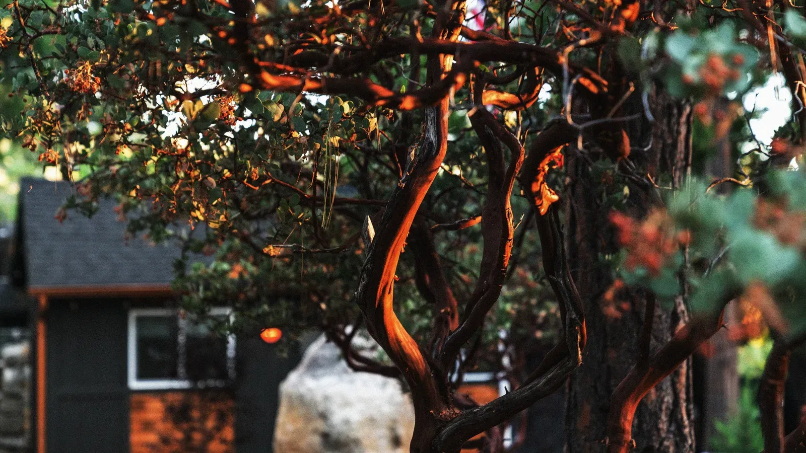 Beautiful plants, trees, and vegetation covers the property. You're likely to spot several birds, squirrels, and perhaps other wildlife during your stay.