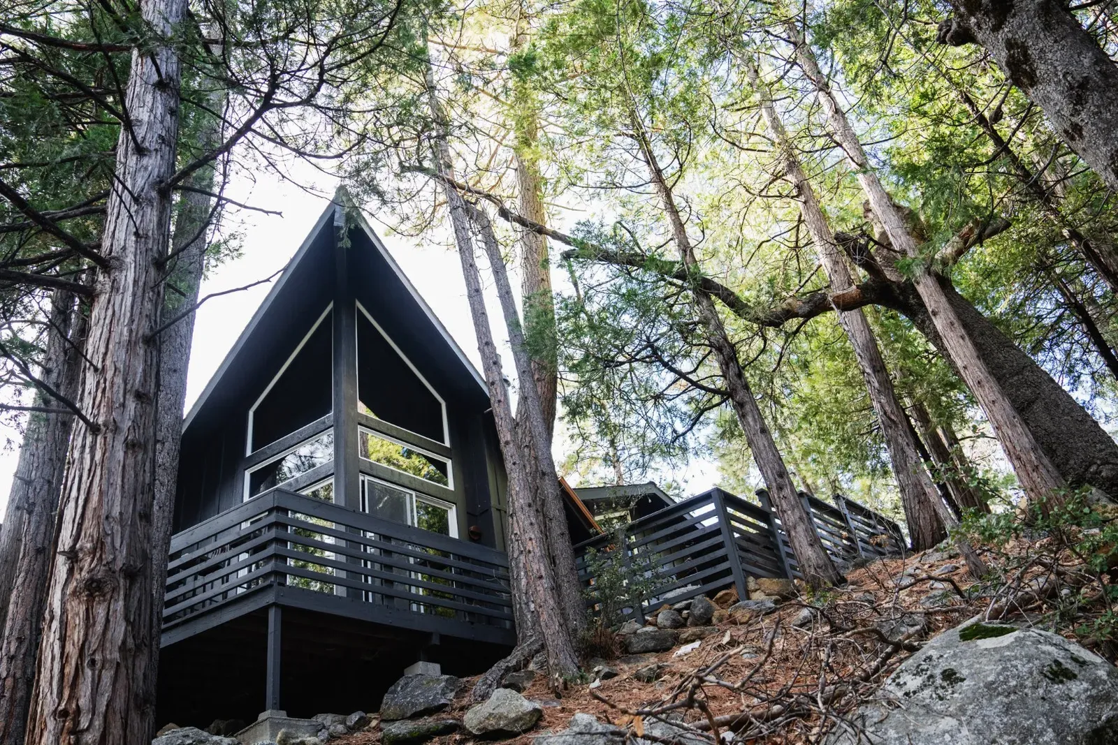 Relax under the pines.