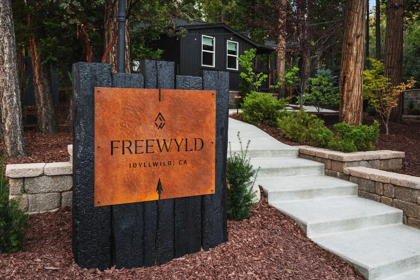Follow Freewyld: @stayfreewyld