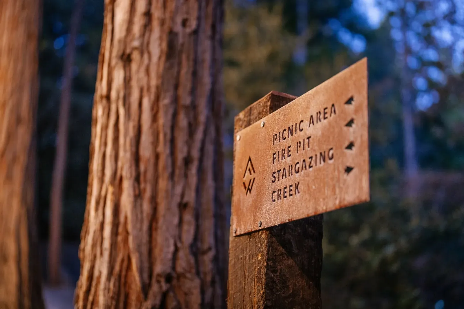 Enjoy all of the corners of Wyldwood Park.