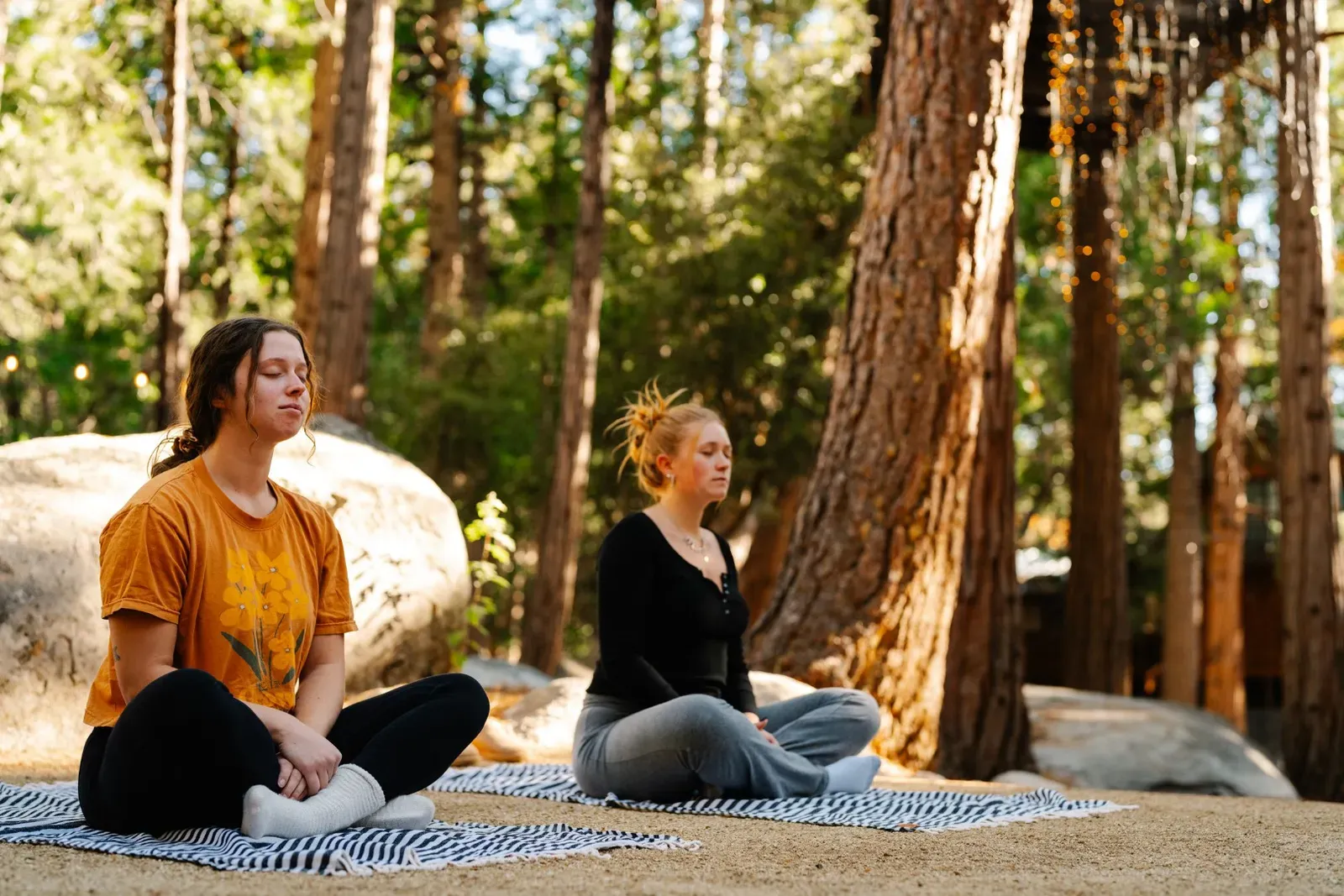 In Wyldwood park you'll find seating, hammocks, creek access, towering pine trees, and boulders.