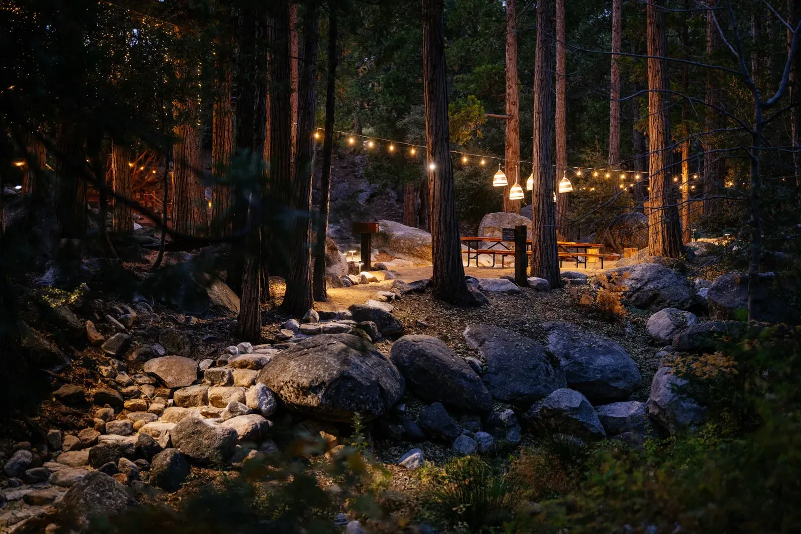Lights fill the Park with magic after dark.