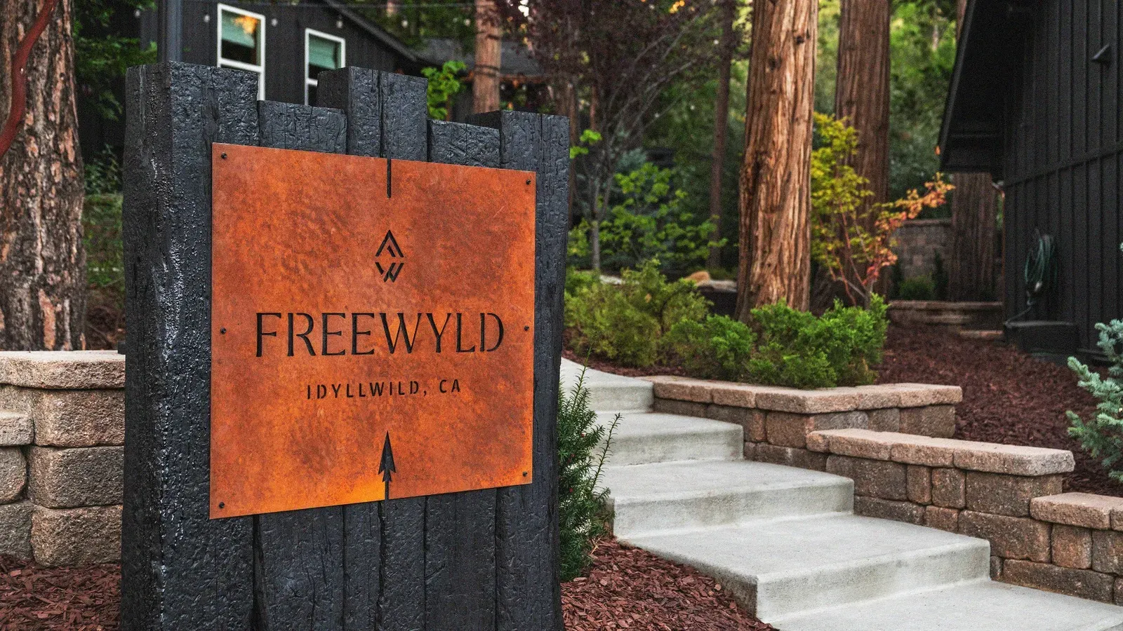 Follow Freewyld: @stayfreewyld