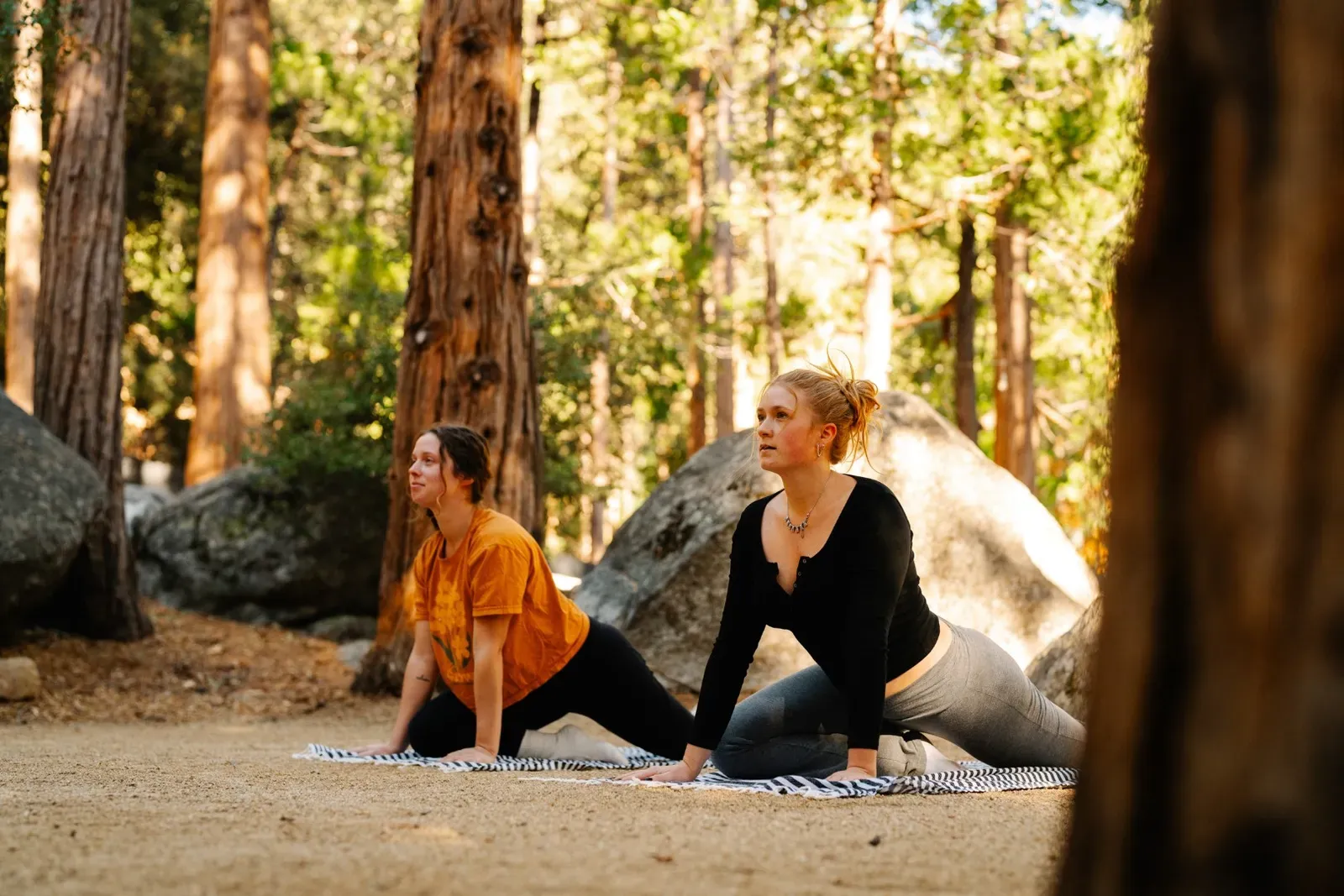 Enjoy the towering pine trees and fresh mountain air.