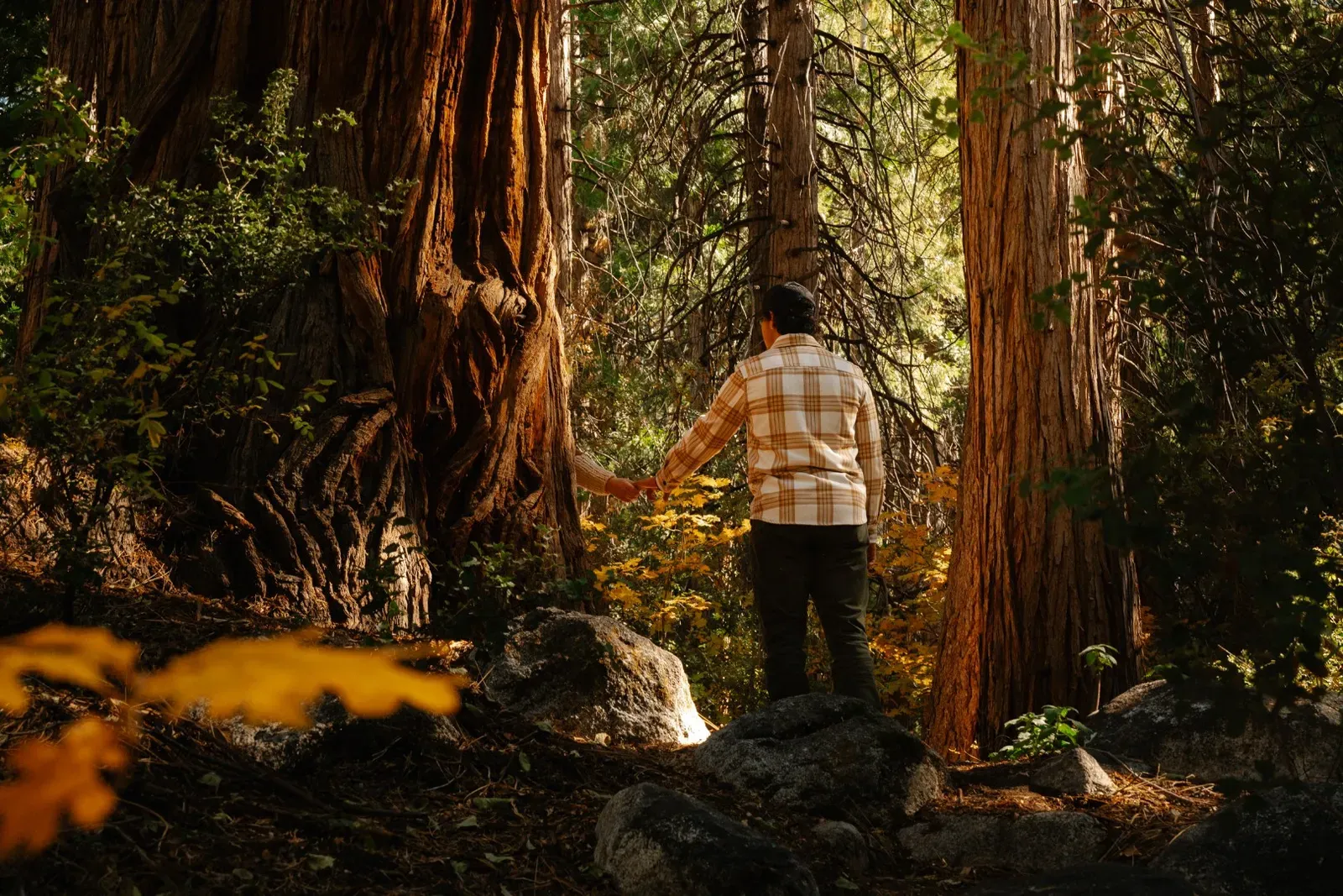 Walk down to Strawberry Creek, and explore all of the nooks and corners of Wyldwood Park.