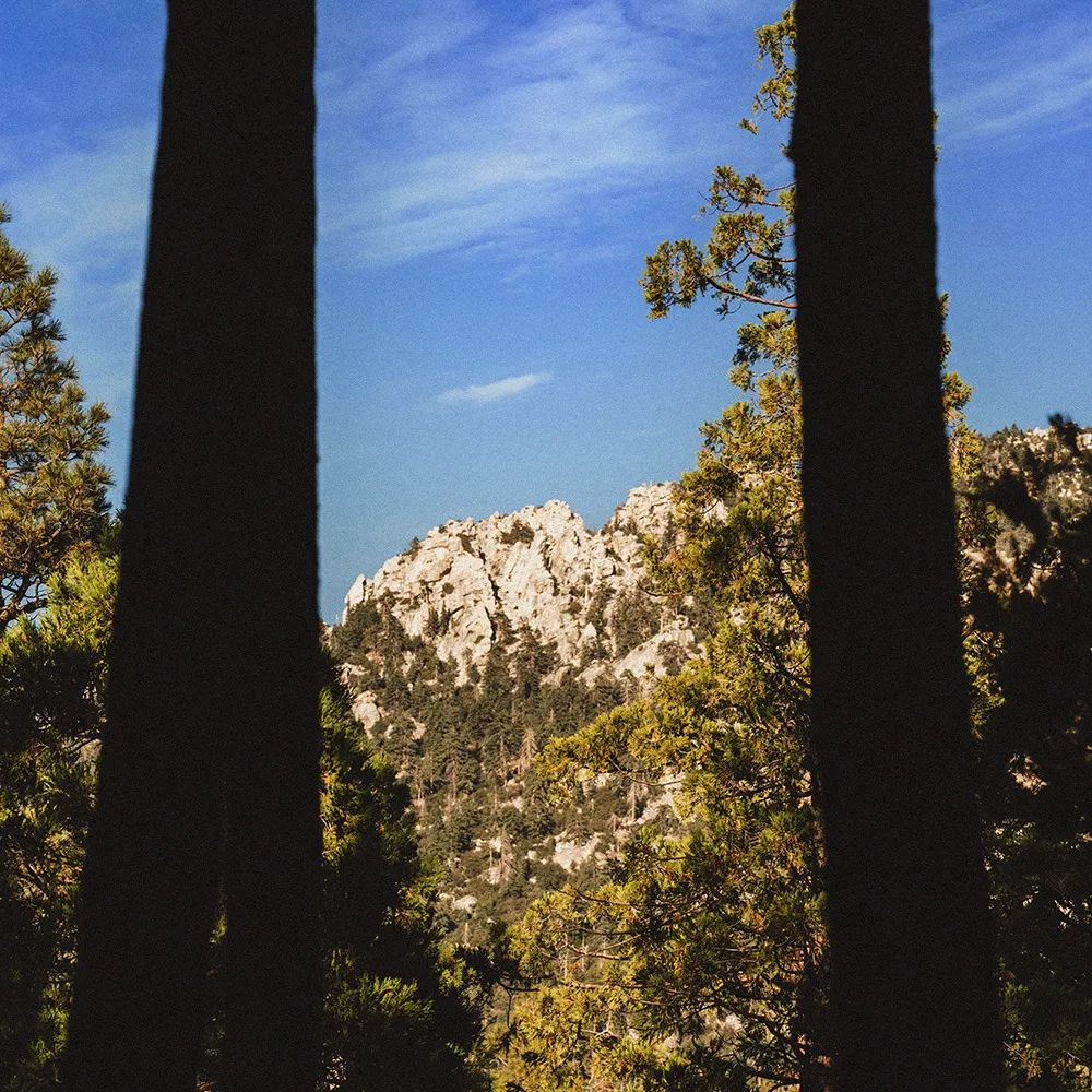 Lily Rock View From Freewyld