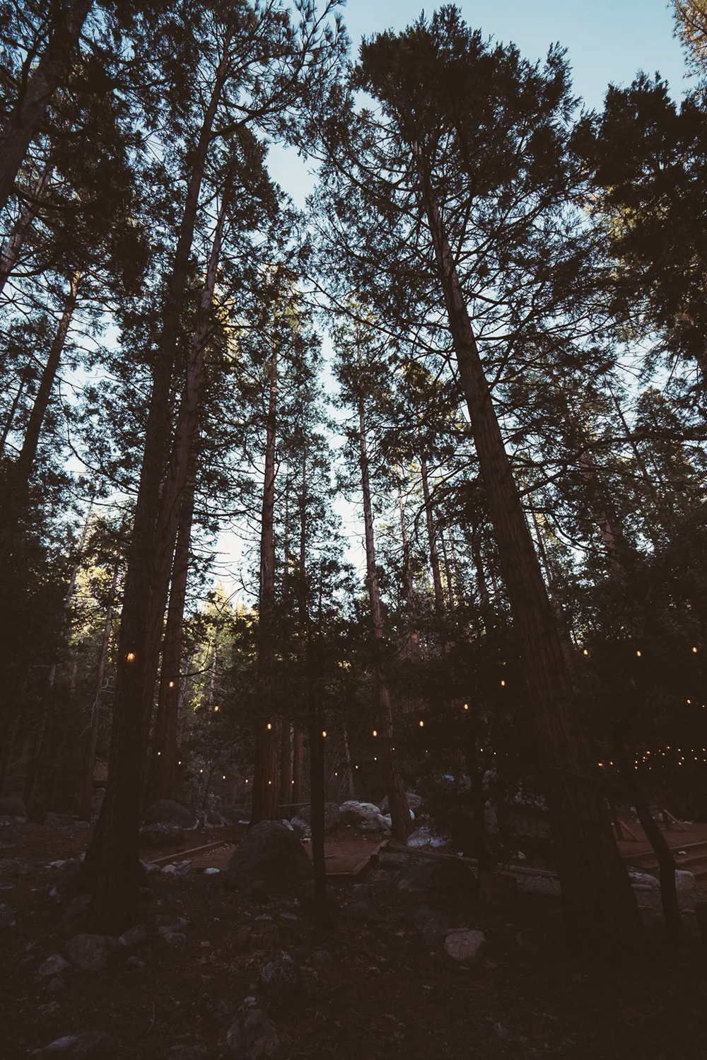 Interior of a Freewyld cabin in Idyllwild, California