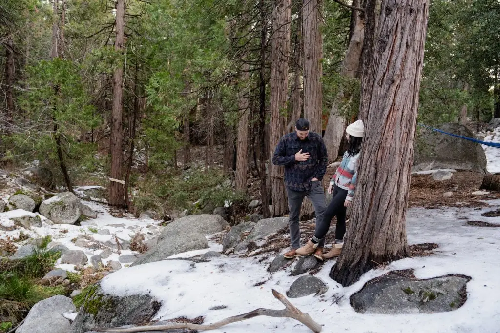 Spend time in nature while in Wyld Mode